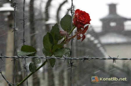 Міжнародний день пам'яті жертв Голокосту. Список