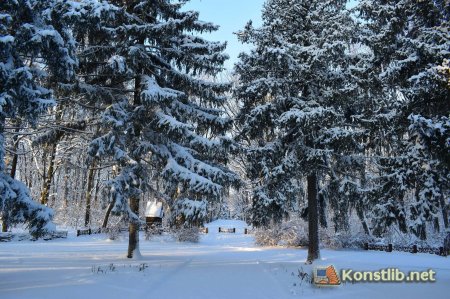 До 90-річчя Донецької області… Туристичні пам'ятки: Великоанадольський музей лісу