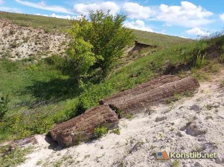 До 90-річчя Донецької області… Туристичні пам'ятки: Дружківські скам'янілі дерева
